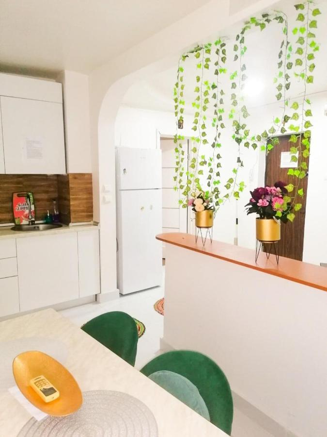 בוקרשט Apartament Near The Park Two Rooms מראה חיצוני תמונה