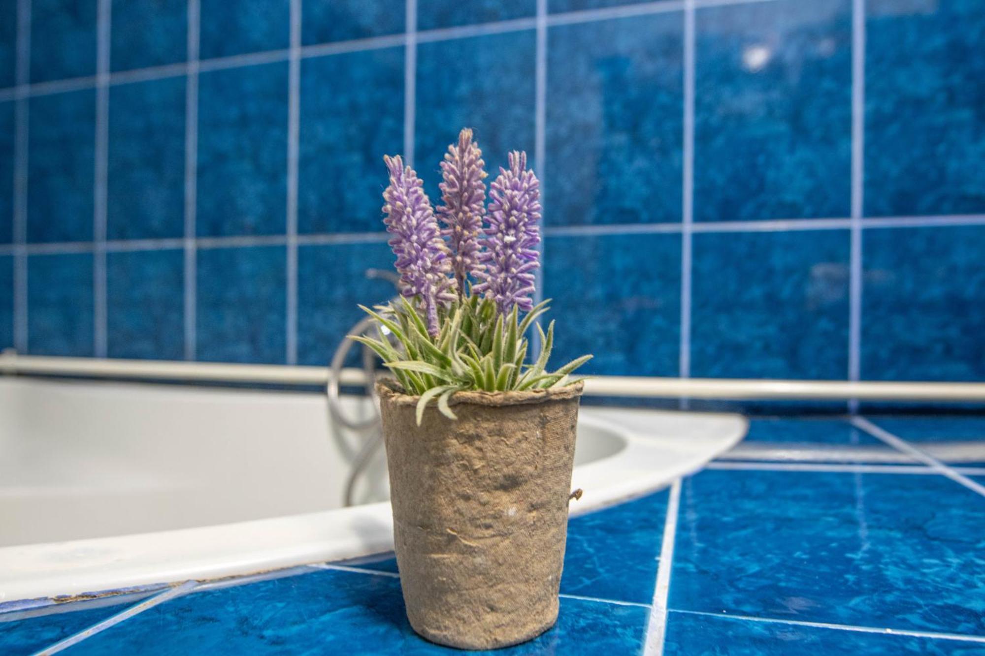 בוקרשט Apartament Near The Park Two Rooms מראה חיצוני תמונה